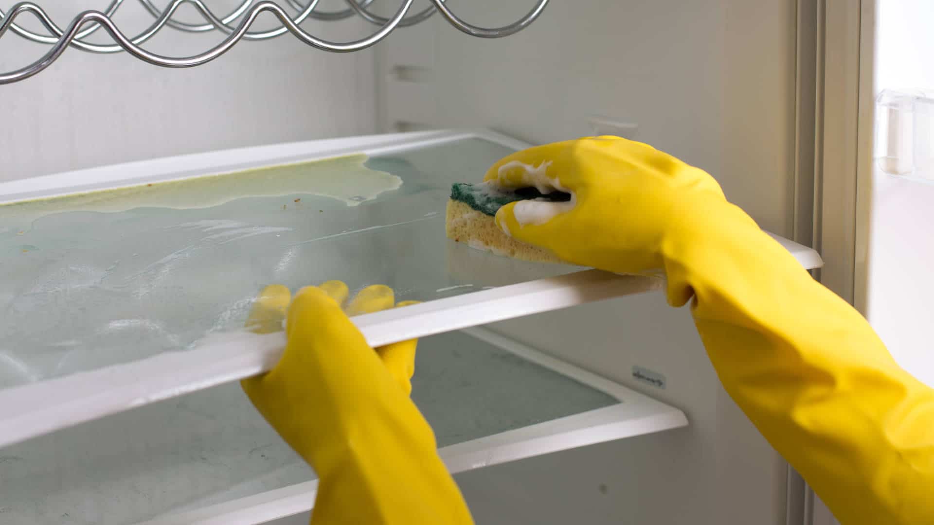 Fridge Interior