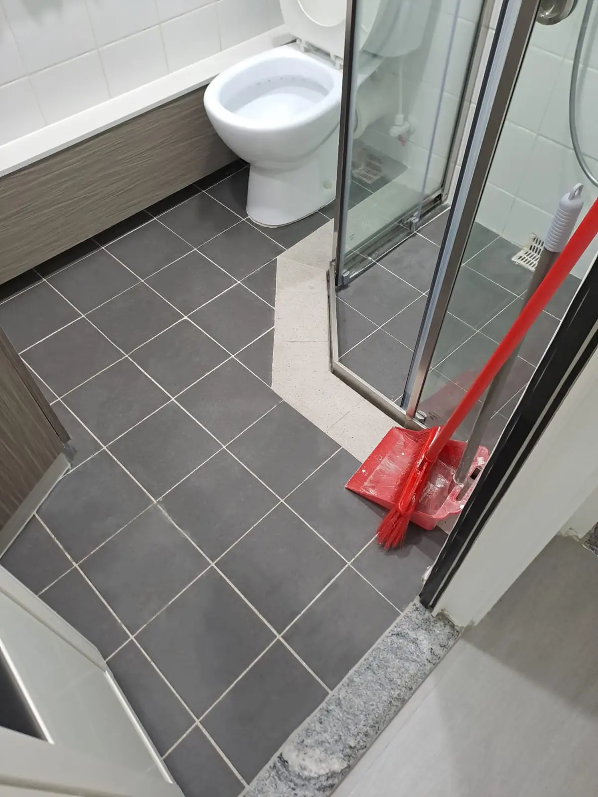 home-toilet-after